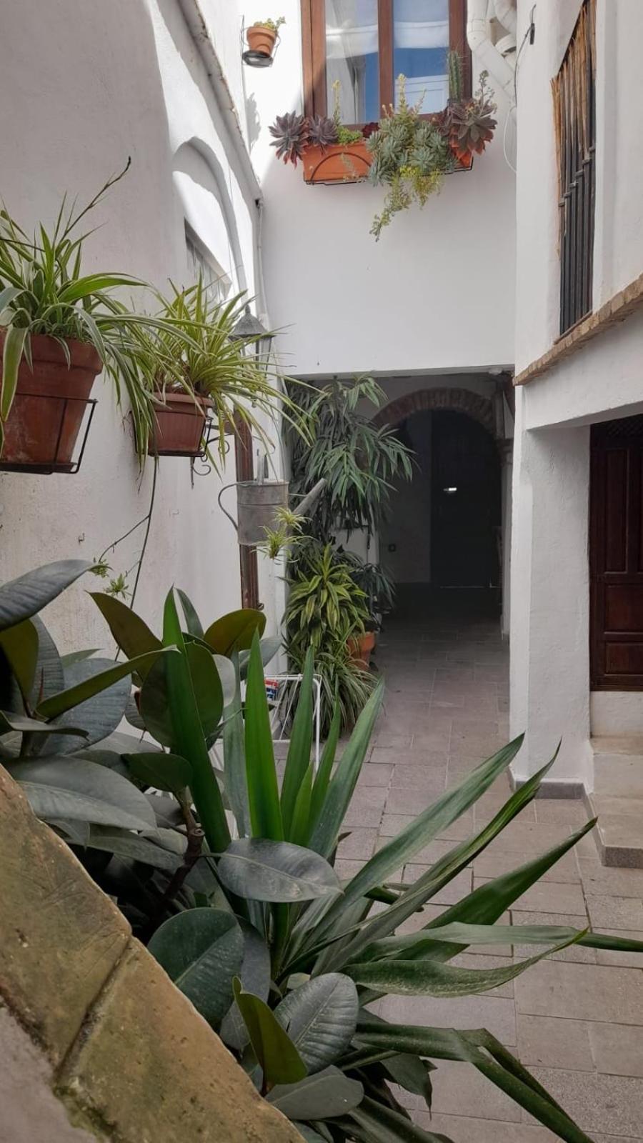 Apartamento En El Casco Historico Tarifa Exteriér fotografie